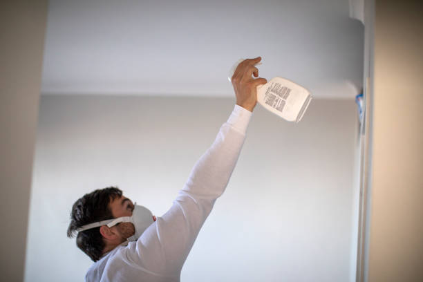 Best Crawl Space Mold Removal  in West Buechel, KY