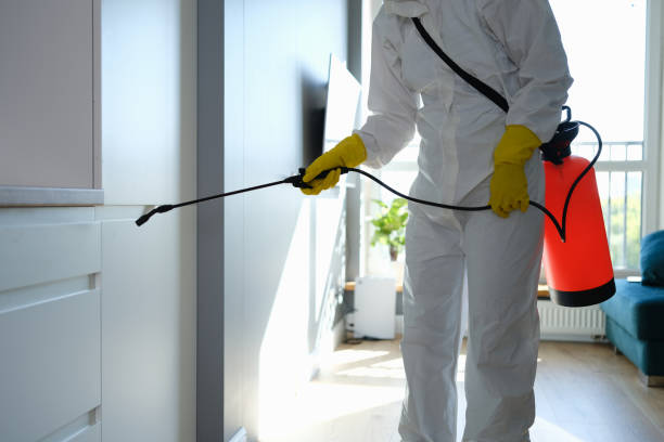 Best Fast Mold Removal  in West Buechel, KY