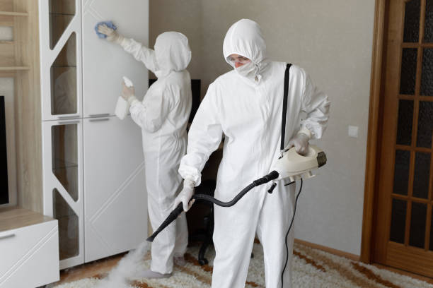 Certified Mold Removal in West Buechel, KY