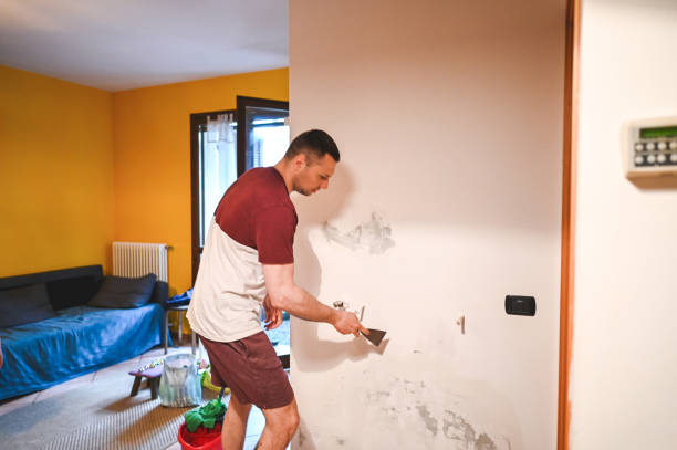 Best Same-Day Mold Removal  in West Buechel, KY